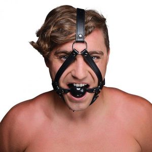 head-harness6539